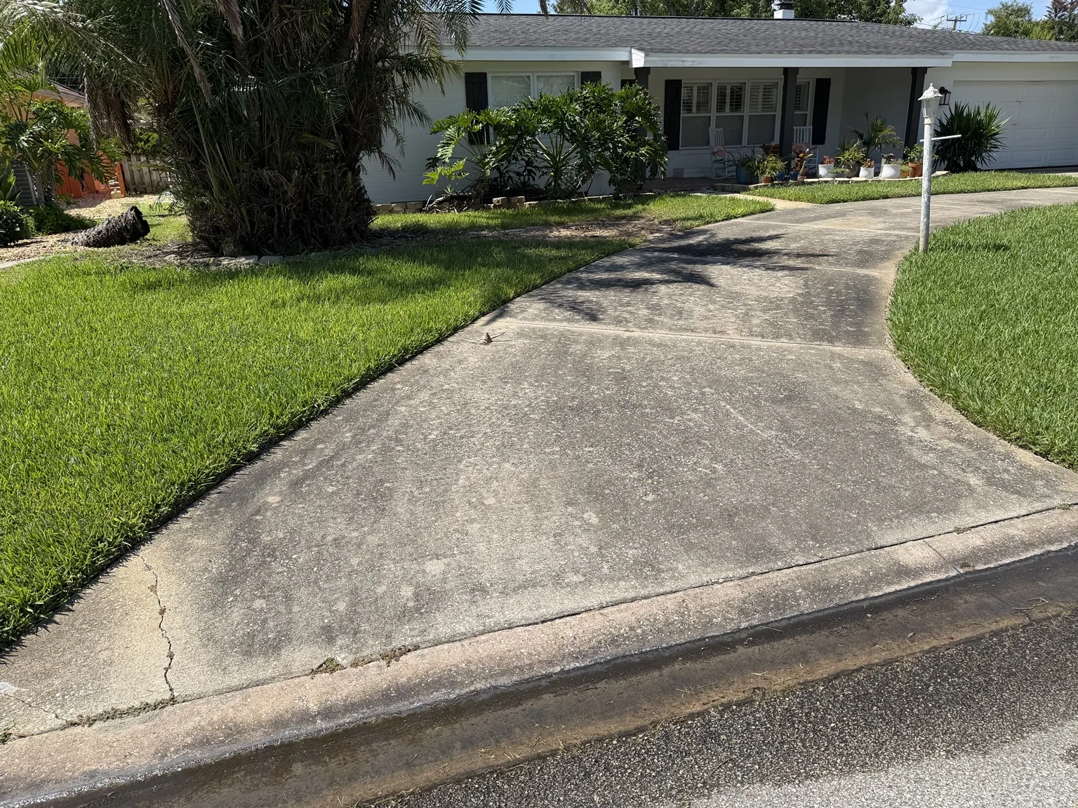 Driveway before cleaning
